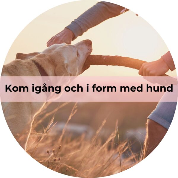 Kom igång och i form med hund
