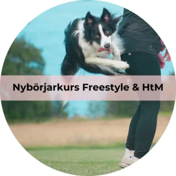 Freestyle & HtM, nybörjarkurs