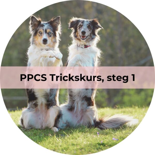 PPCS Trickskurs, steg 1