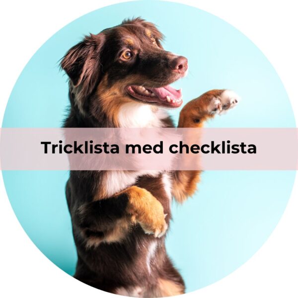 Trickslista med checklista