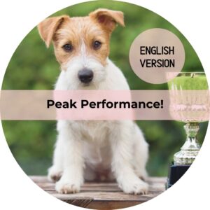 Peak Performance (english version)