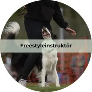 Freestyleinstruktör