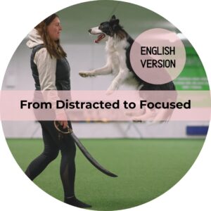 From Distracted to Focused (English version)