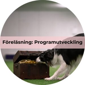 Föreläsning: Programutveckling