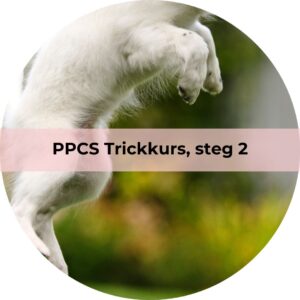 PPCS Trickskurs, steg 2